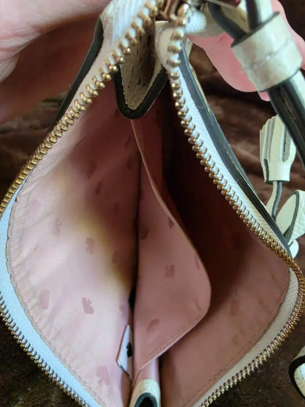 kate spade kate spade